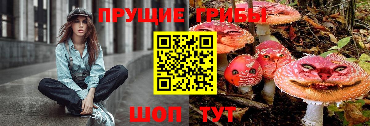 Псилоцибиновые грибы Cubensis Самара