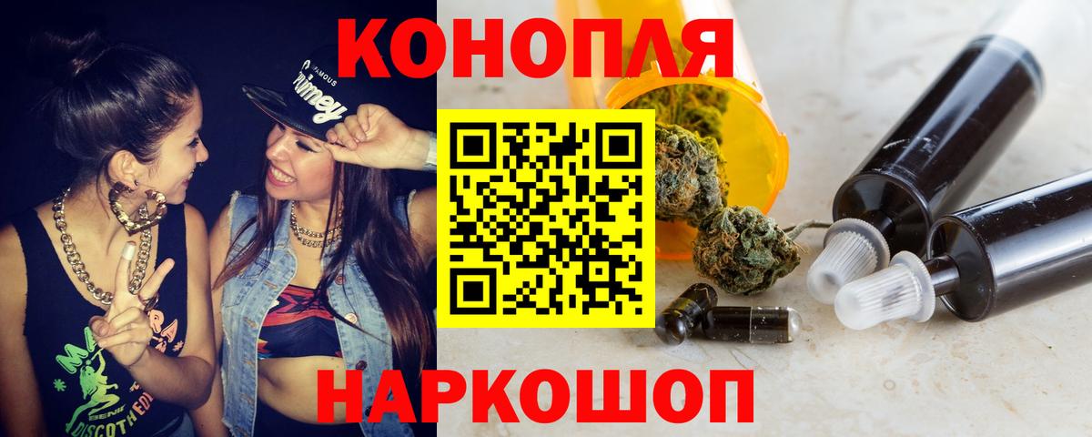 Бошки марихуана сатива  Канабис план  Бошки Шишки планчик  Самара  Бошки марихуана ГИДРОПОН  Вход с VPN 